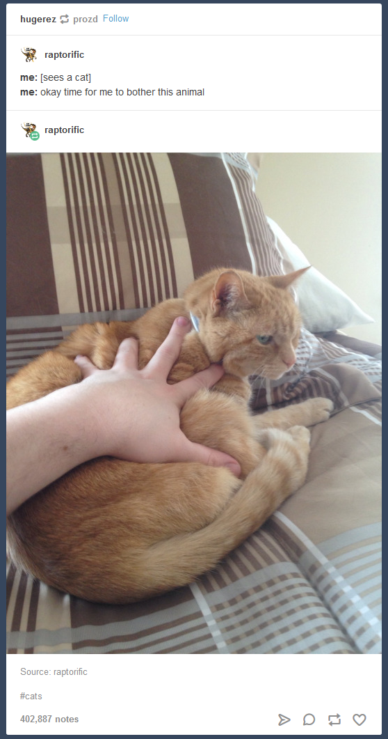 This+is+my+life+meow