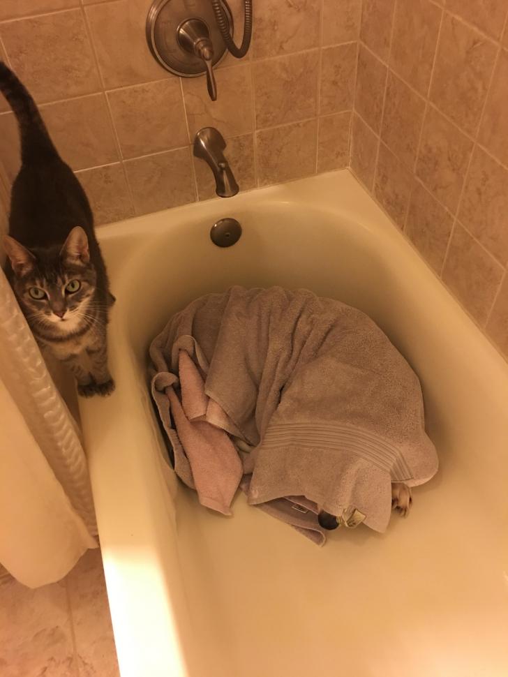 It%26%238217%3Bs+been+thundering+over+here+for+the+last+day+and+1%2F2.+This+was+at+1am+last+night.