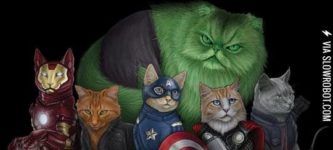 Meowvengers.