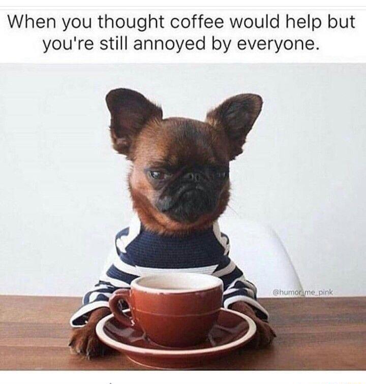 When+you+thought+coffee+would+help%26%238230%3B