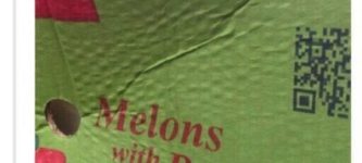 Melons+with+purpose