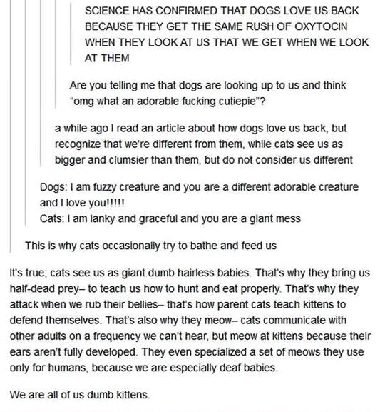 The+Way+They+Actually+See+Us