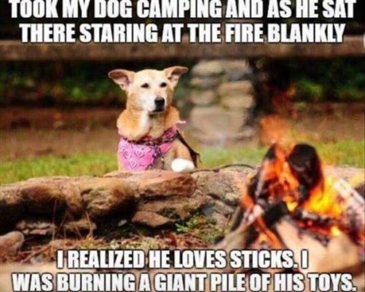 I%26%238217%3BM+A+MONSTER%21