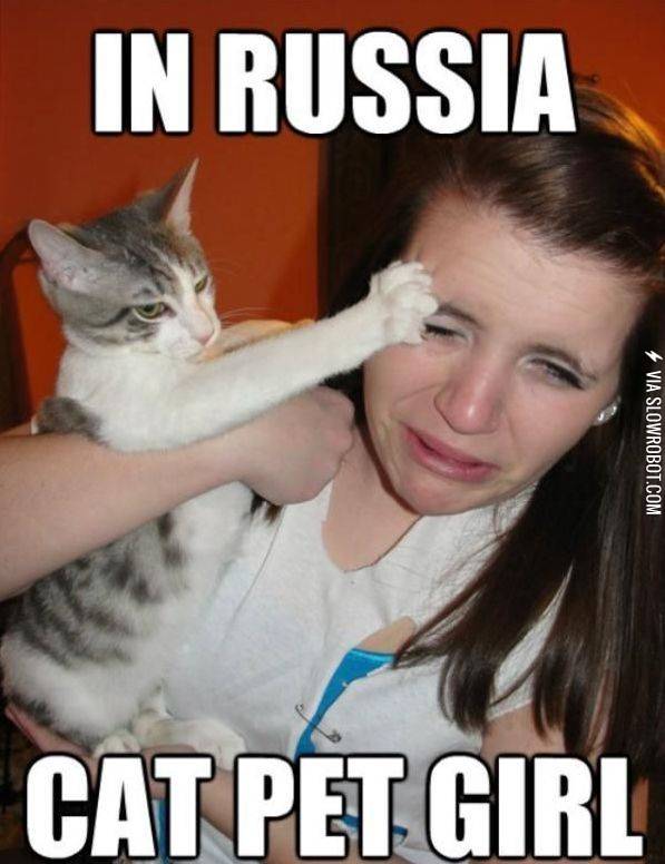 In+soviet+russia%2C+CAT+PET+YOU.