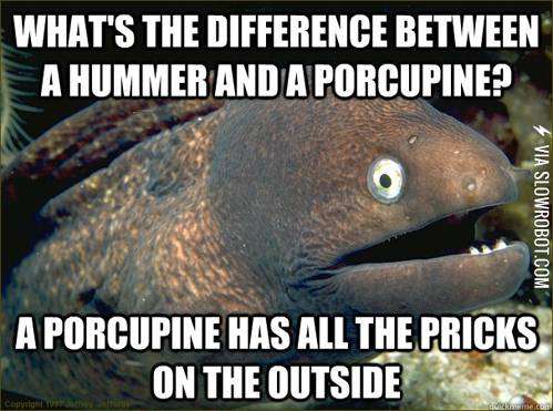 What%26%238217%3Bs+the+difference+between+a+Hummer+and+a+porcupine%3F
