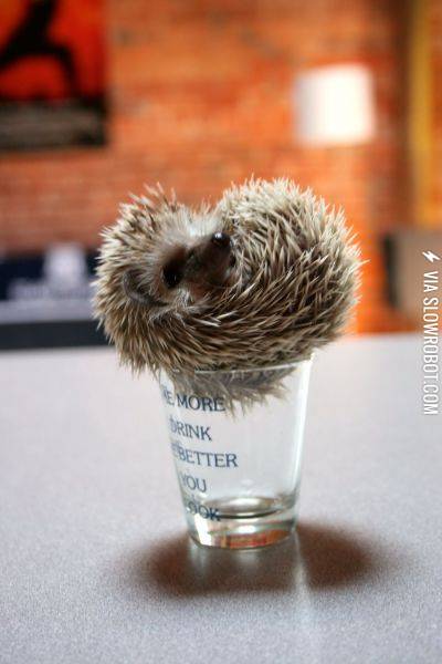 If+I+fits%26%238230%3B