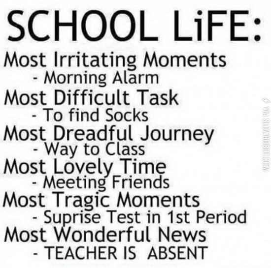 School+Life