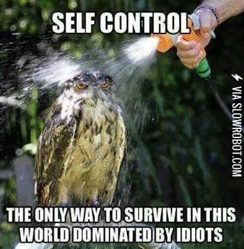 Anger+management+at+its+finest.