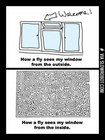 Why+that+pesky+fly+never+goes+back+out+the+window.