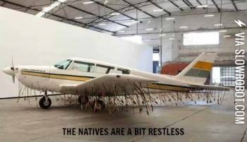 The+natives+are+a+bit+restless.