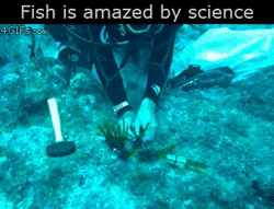 Fish+Is+Amazed+By+Science