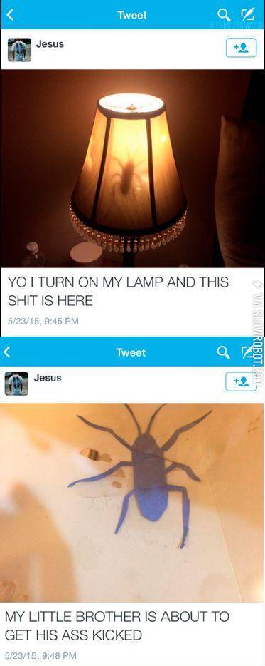 Little+brothers+do+the+darndest+things