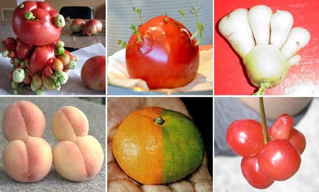 Vegetables+and+fruits+after+the+Fukushima+disaster