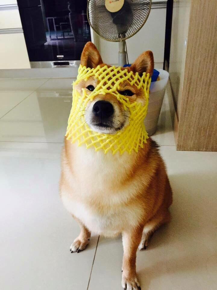 Your+first+helmet+in+an+RPG