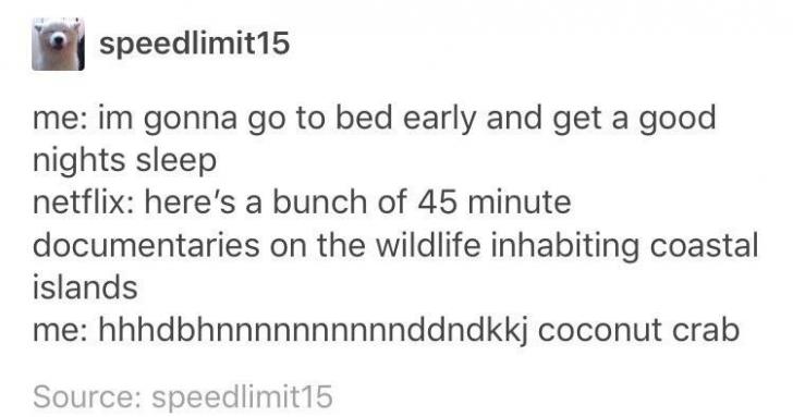 a+nightly+occurrence