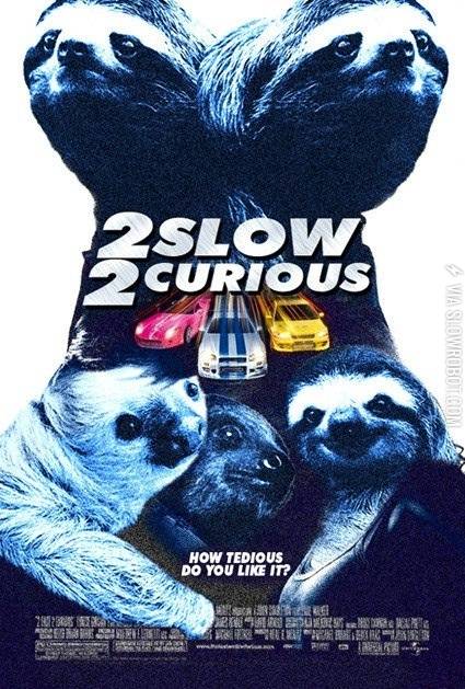 2+Slow%2C+2+Curious