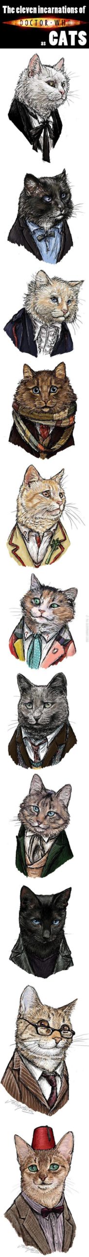 The+eleven+incarnations+of+Dr.+Who+as+cats.