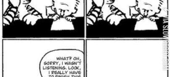 The+last+Calvin+and+Hobbes