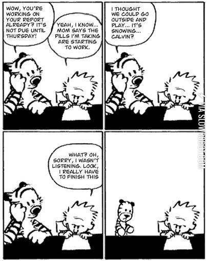 The+last+Calvin+and+Hobbes