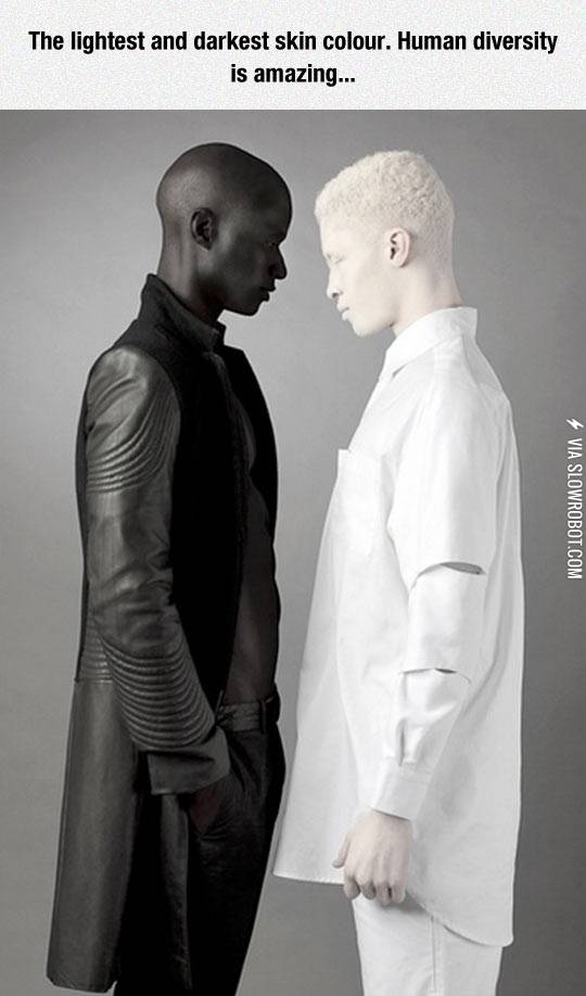 Beautiful+Human+Diversity