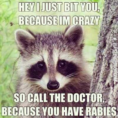 you+have+rabies