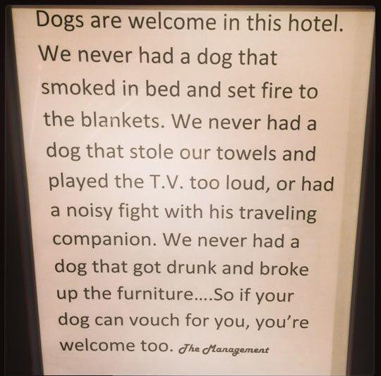 Dogs+Are+Welcome
