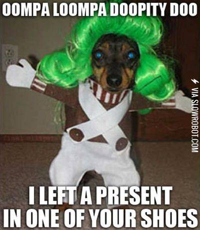 Oompa+loompa+doopity+doo%21