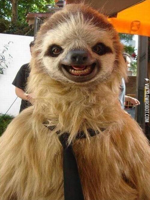 Sloths%2C+also+terrifying.