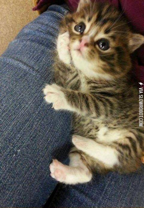 Please%2C+go+on%26%238230%3B+I%26%23039%3Bm+listening