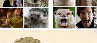 Sherlock+Otter+and+John+Hedgehog.