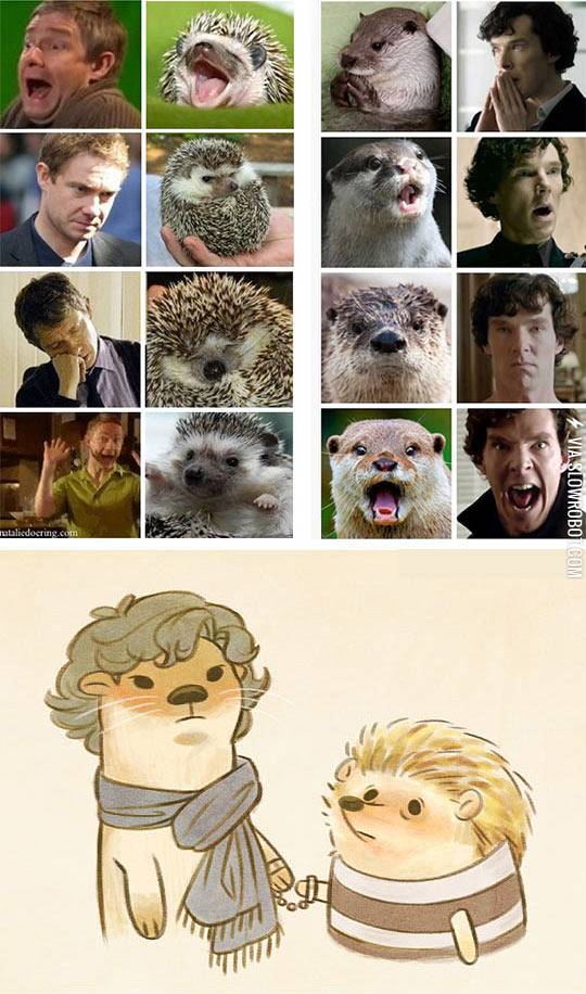 Sherlock+Otter+and+John+Hedgehog.