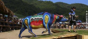 Buffalo+bodypainting+competition+in+China