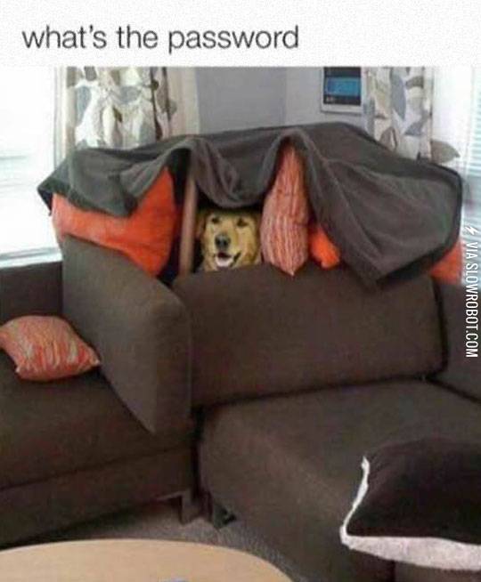 First+Rule+Of+Dog+Club%3A+Don%26%238217%3Bt+Talk+About+Dog+Club