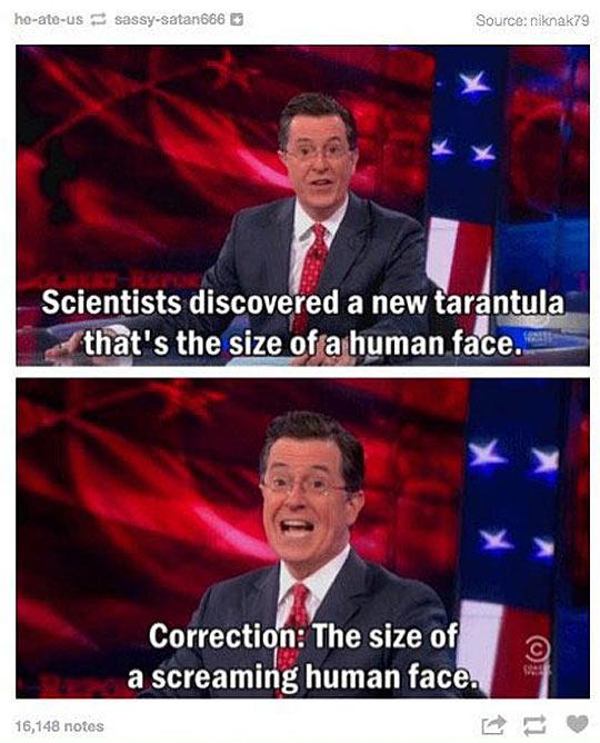 New+Tarantula+Has+Been+Discovered