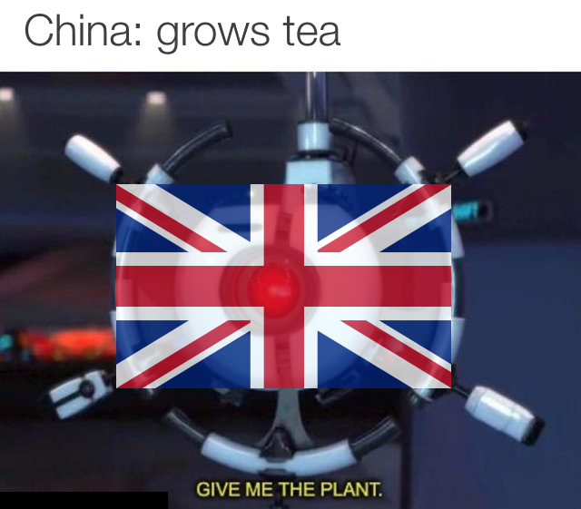 Give+us+the+hot+leaf+water.