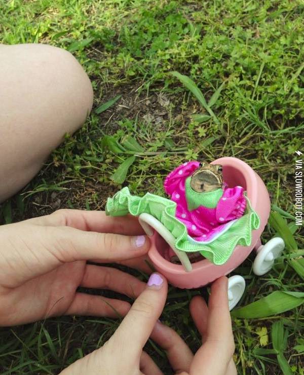 The+most+beautiful+frog