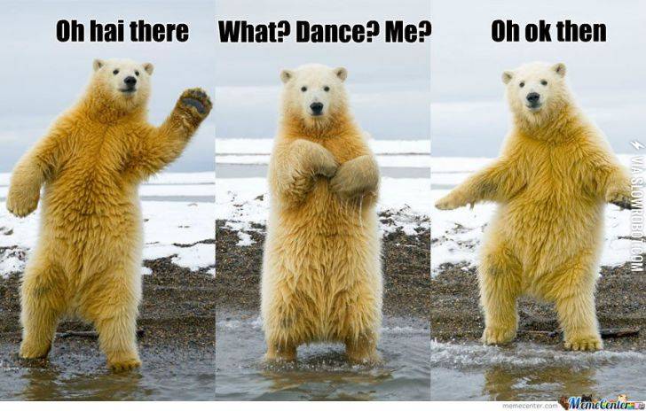 Polar+bear+dance