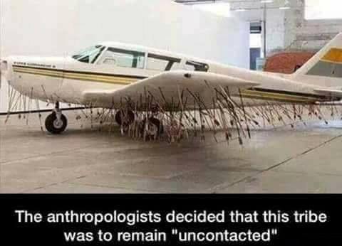 This+area+looks+barren