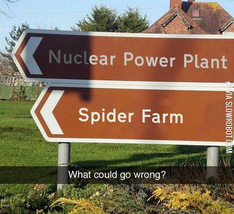 What+could+po+s+s+i++bly+go+wrong%3F