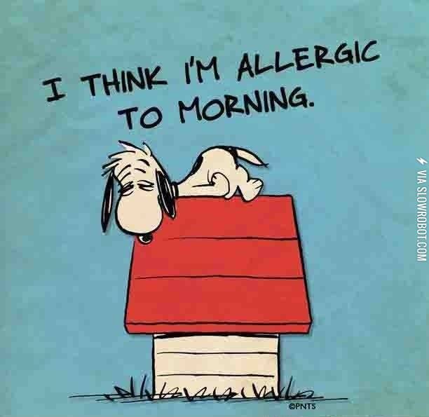 I%26%238217%3Bm+sure+of+it.