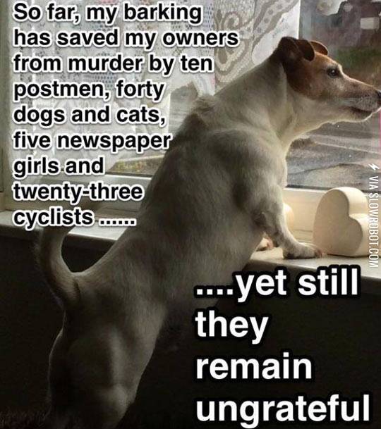 The+Logic+Of+Every+Dog