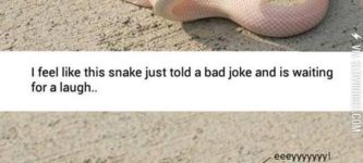 Bad+Joke+Snake