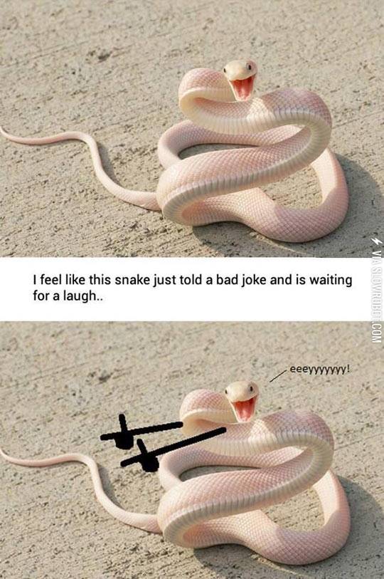 Bad+Joke+Snake