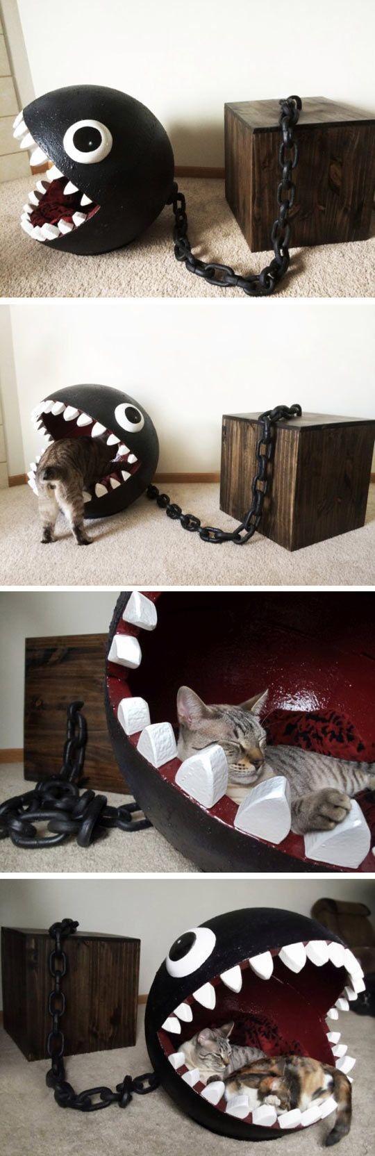 Chomp+The+Cat+Bed