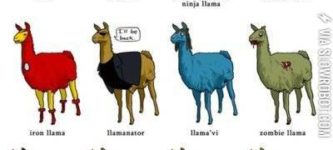 If+people+were+llamas.