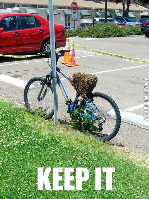 The+bees+have+claimed+it.