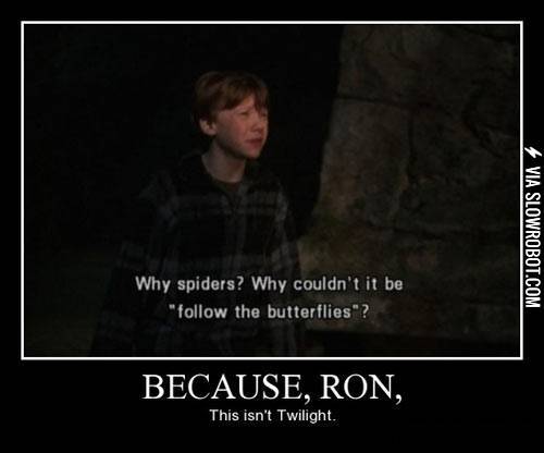 This+isn%26%238217%3Bt+Twilight.