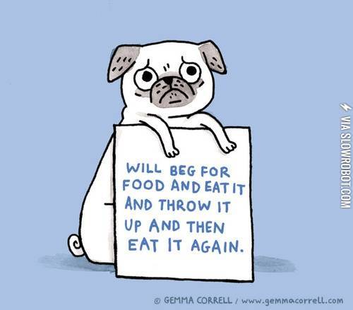 Will+beg+for+food%26%238230%3B