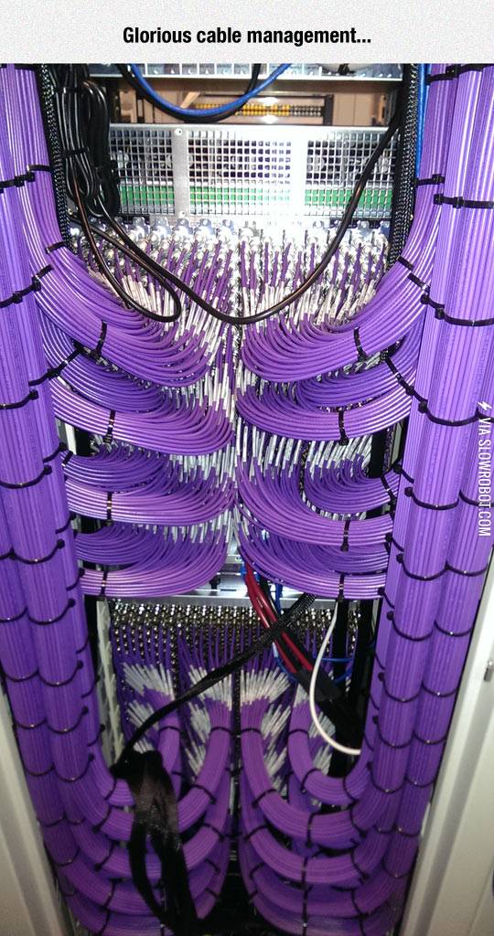 Strangely+Satisfying