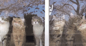 My+friends+are+retarded